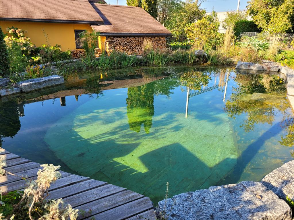 naturnaher Naturpool